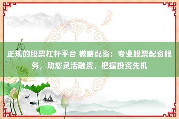 正规的股票杠杆平台 微略配资：专业股票配资服务，助您灵活融资，把握投资先机
