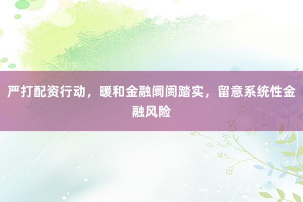 严打配资行动，暖和金融阛阓踏实，留意系统性金融风险