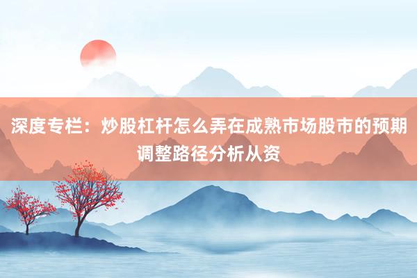 深度专栏：炒股杠杆怎么弄在成熟市场股市的预期调整路径分析从资