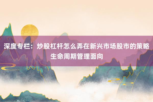 深度专栏：炒股杠杆怎么弄在新兴市场股市的策略生命周期管理面向