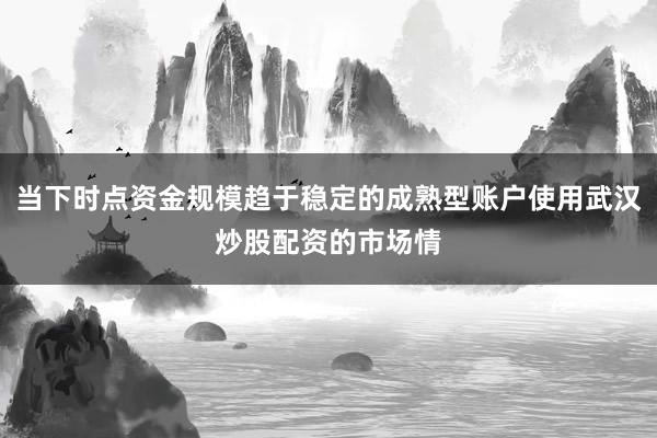 当下时点资金规模趋于稳定的成熟型账户使用武汉炒股配资的市场情