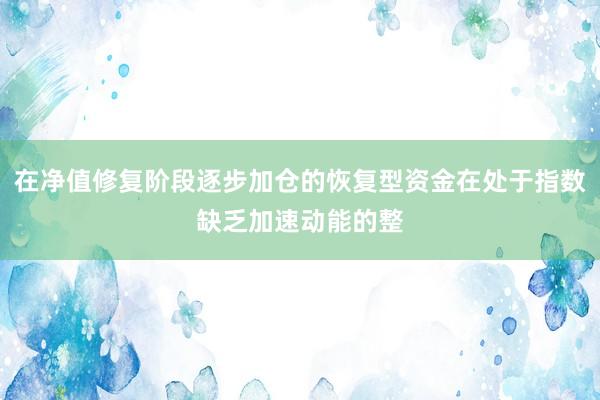 在净值修复阶段逐步加仓的恢复型资金在处于指数缺乏加速动能的整