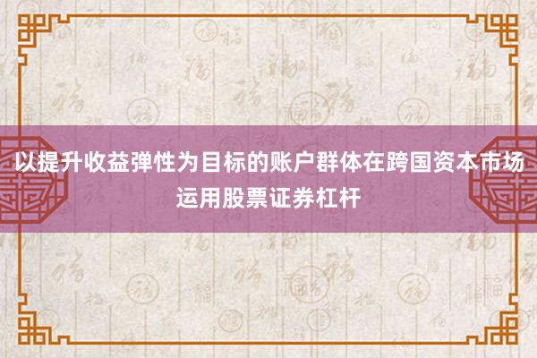 以提升收益弹性为目标的账户群体在跨国资本市场运用股票证券杠杆